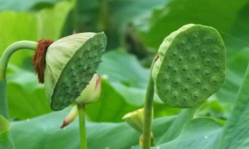 权威5个半月宝宝一顿奶量多少正常平台,分享专业5个多月宝宝一顿奶量知识_5个半月宝宝一顿奶量网